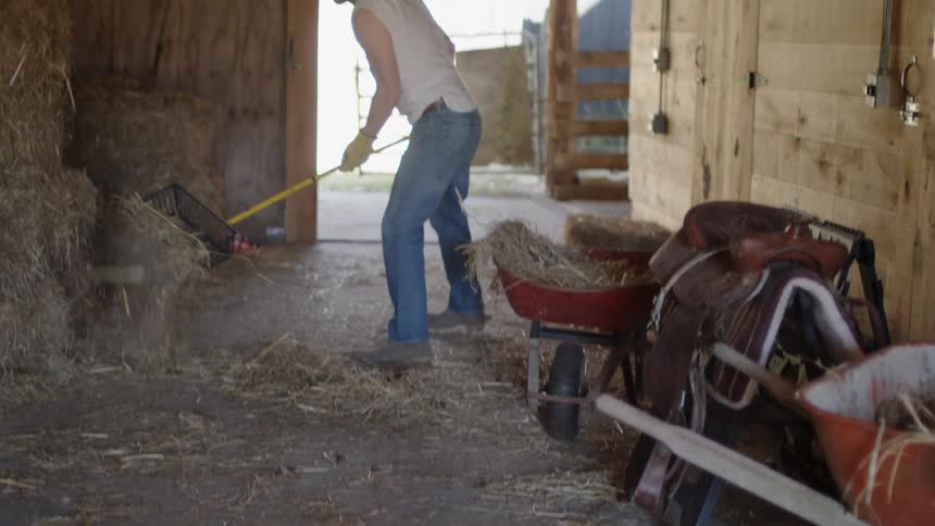 A man is taking hay in the barn