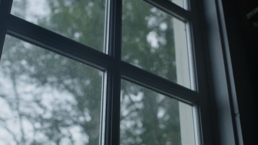 Trees and sky are visible through window panes