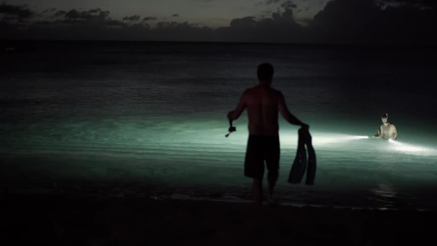 People swim in an ocean at night