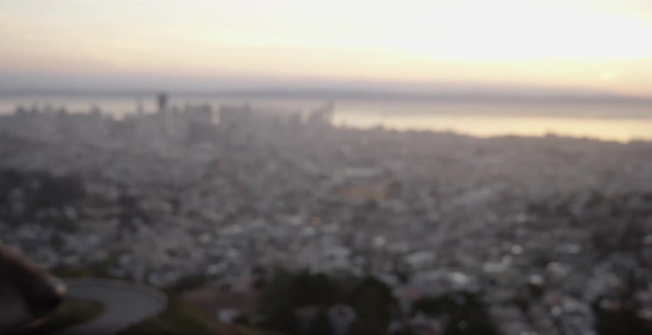 A dog pants and looks over a city