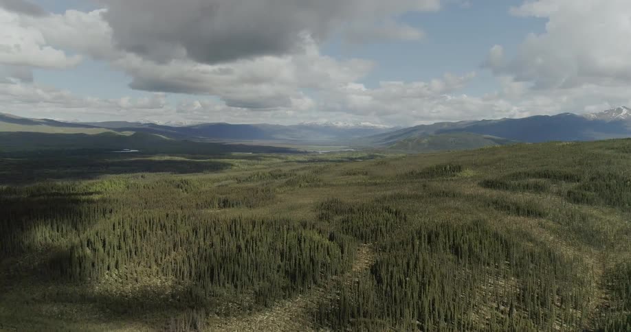 The large forest cover the hills below