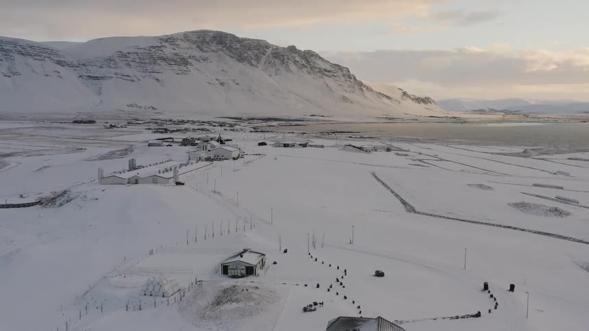 Animals are gathered around the snow covered farm