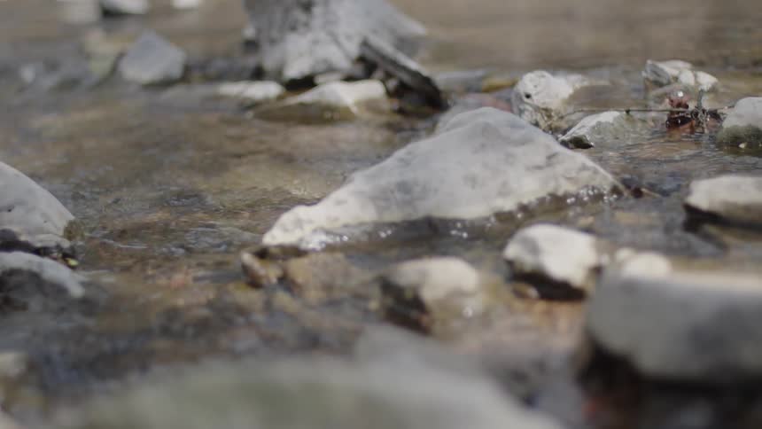 The stream is slowly moving on a sunny day