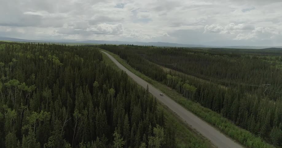A car travels down the road surrounded by a large forest