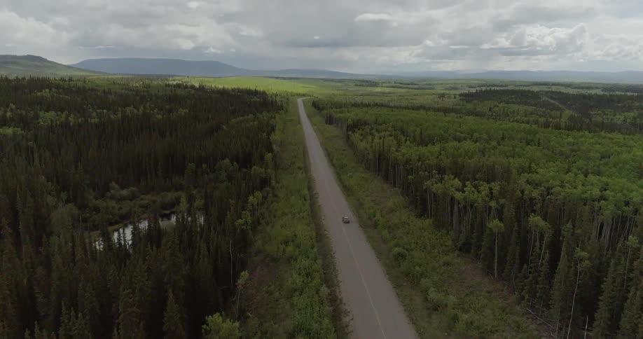 A car drives on a forest road