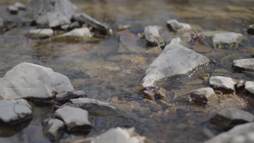 The water slowly moves over the rocks in the stream