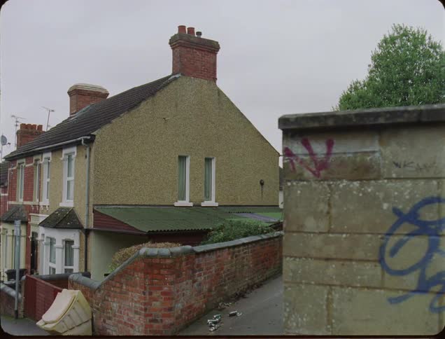 Houses in neighborhood on cloudy day