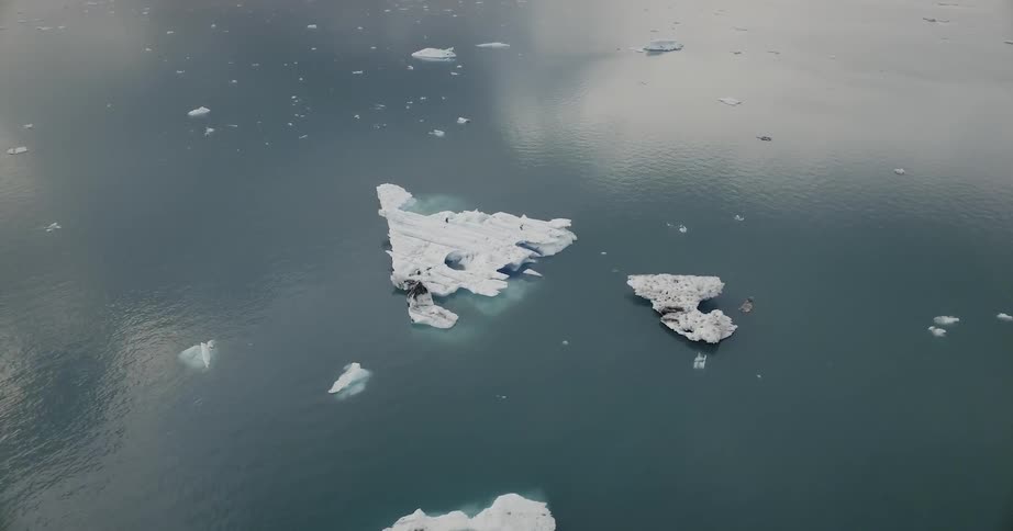 Chunks of glacier ice floating in cold ocean water