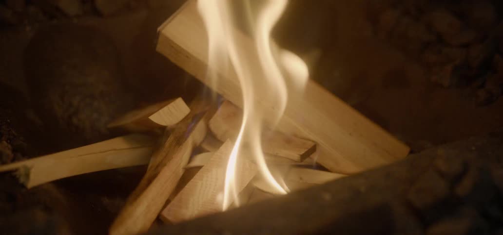 A campfire burns at night