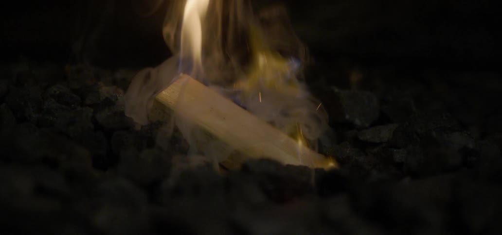Piece of wood burning in fire