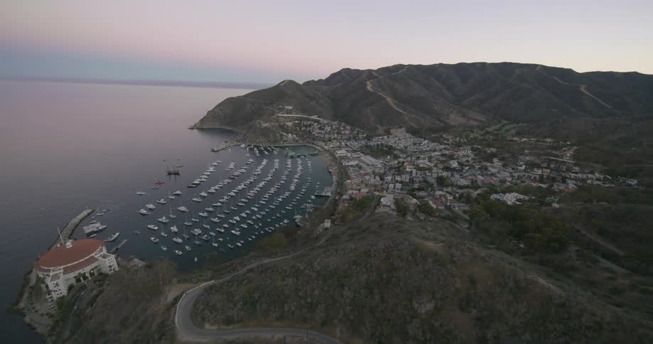 A lot of boats lined up near the shore