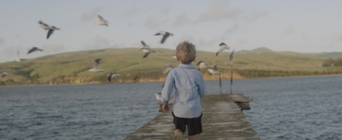 A young boy runs down a pier as seagulls lift into flight, chasing a moment of wonder