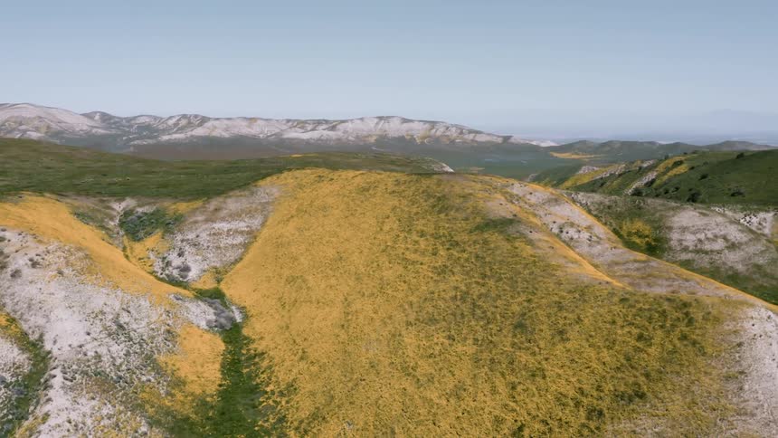 The hills are covered with green and yellow wildflowers