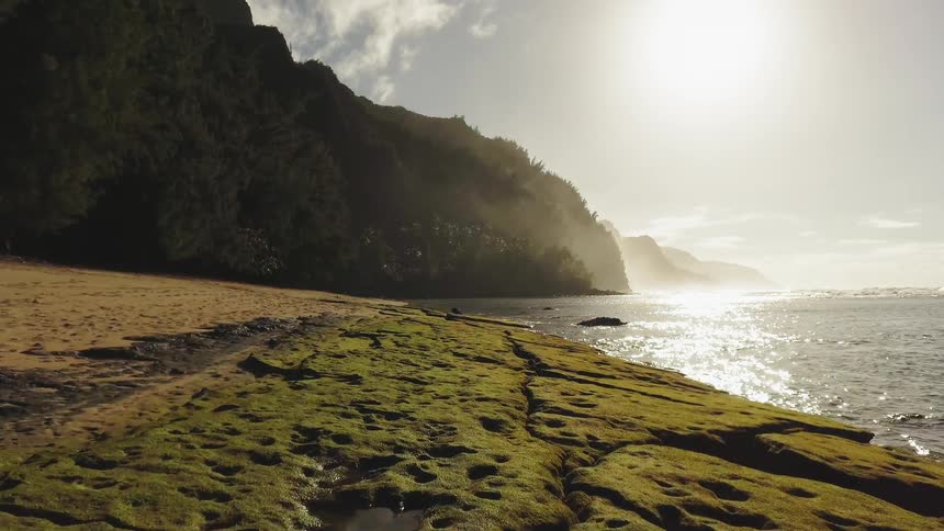 The sun shines on a shoreline