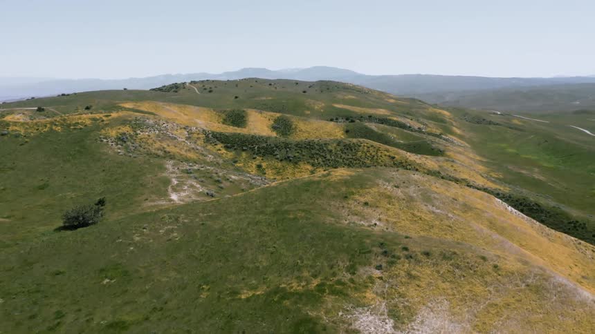 The hills are covered with yellow and green