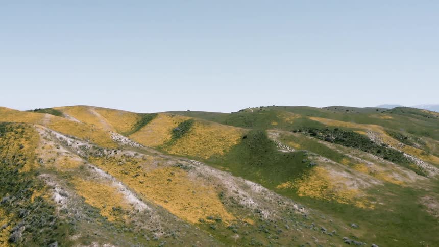 Yellow flowers and green grass cover the ground on the hills