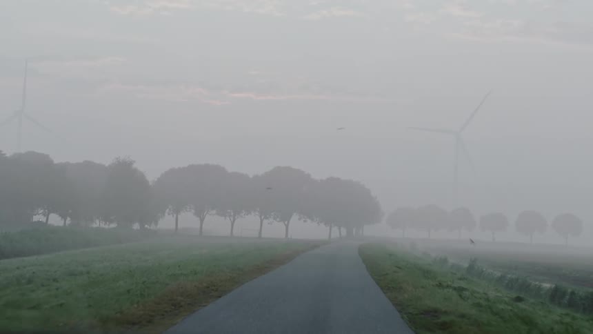 A rural road with trees and wind turbines on a foggy day