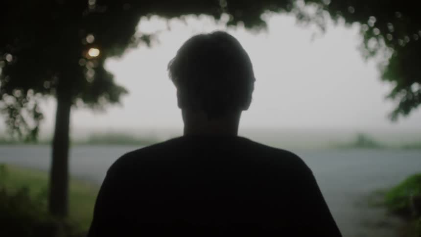A man walks beneath trees at sunrise