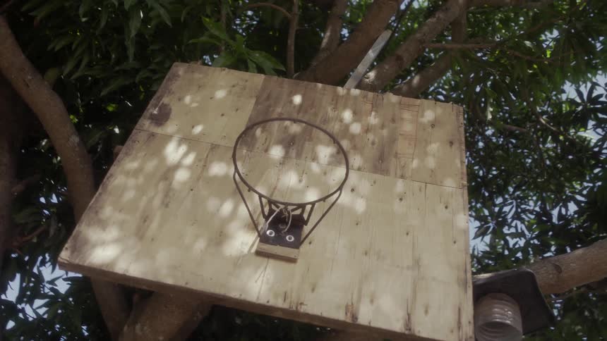 A basketball basket hangs on a tree