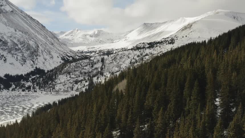 Trees and snow cover a mountainside