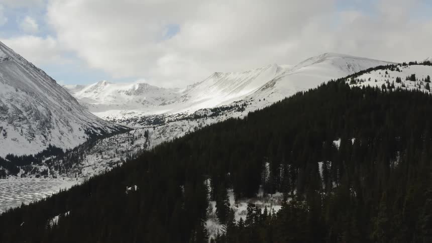 A forest on a slope of snow covered mountain peaks