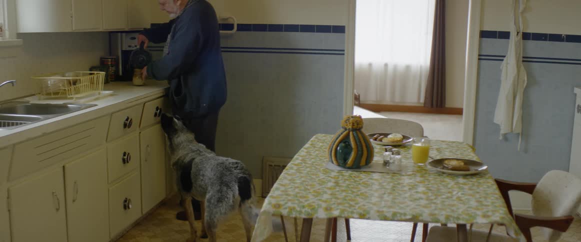 A dog stands next to a man as he pours himself a cup of coffee