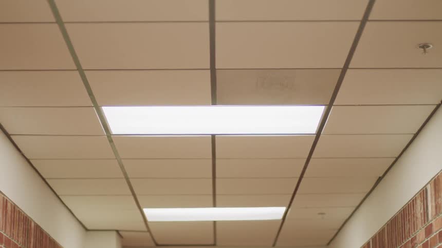 Illuminated lights sit in the ceiling