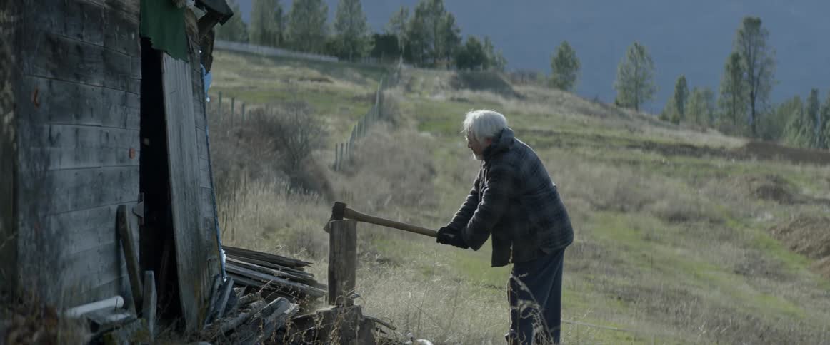 A man chops firewood next to a rural shed