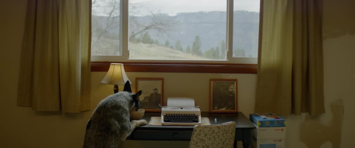 Dog eats from a bowl on a desk