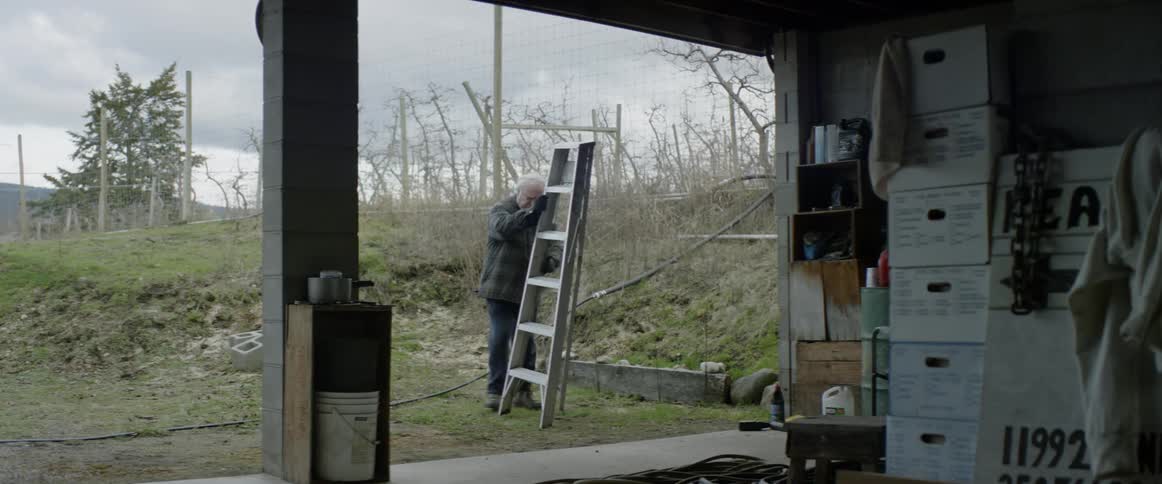 An old man is picking up a ladder and moving it into a shed during the day