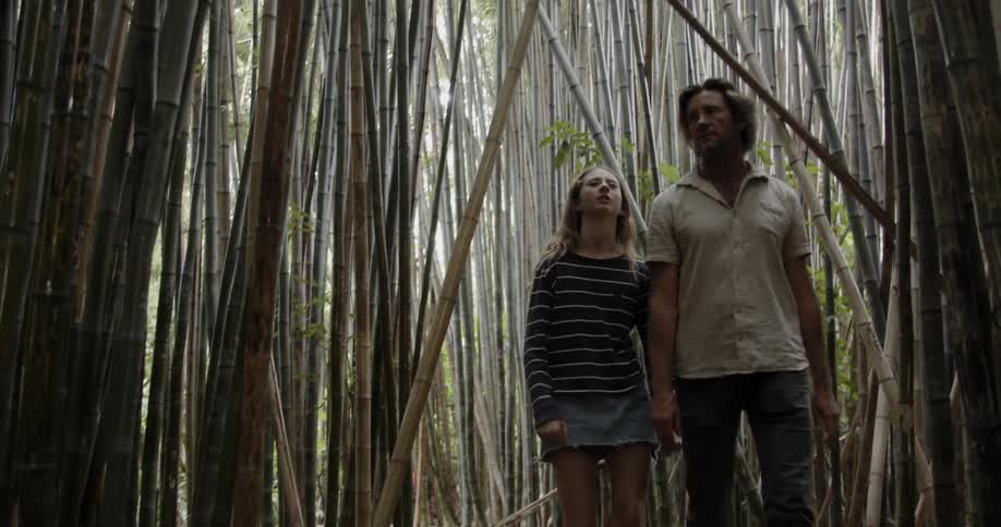 A man and child walk through the bamboo forest