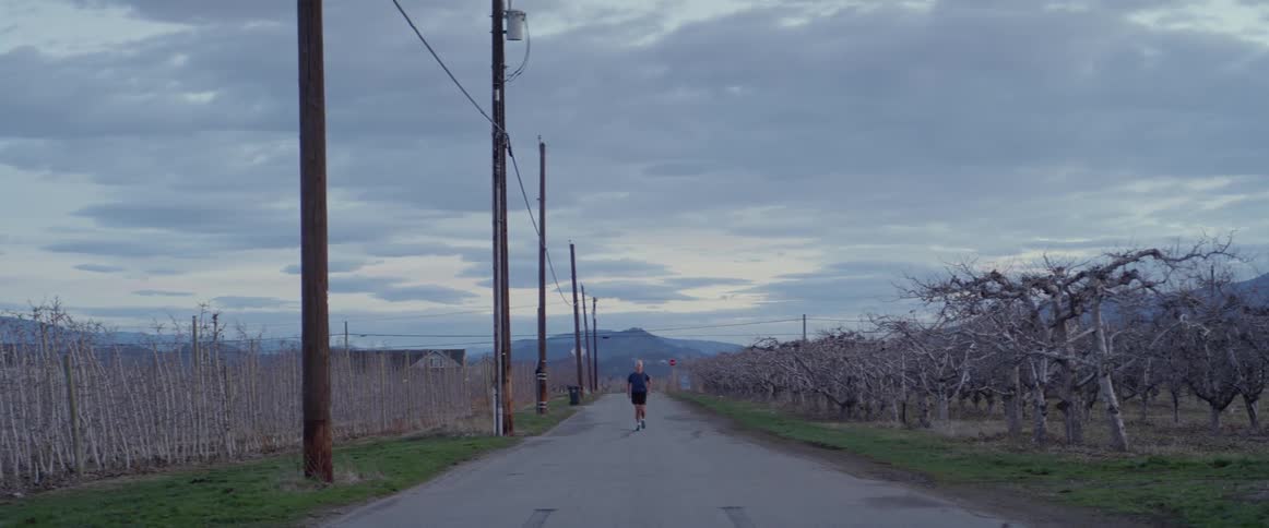 An old man is jogging on a road through an orchard at dusk