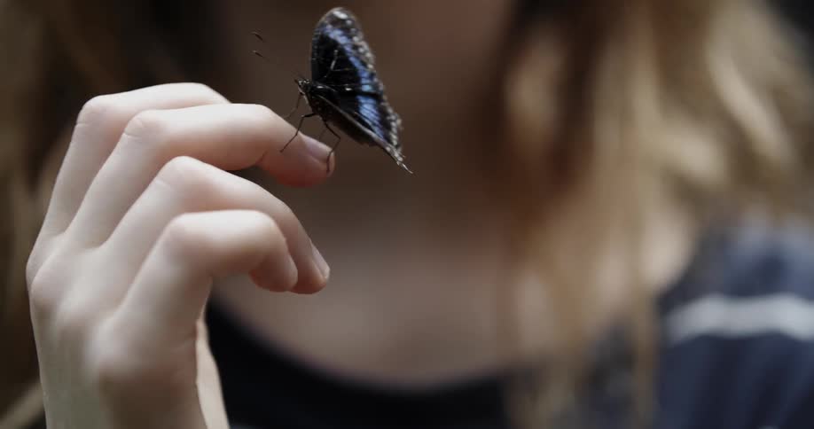 A butterfly sits on a woman's hand