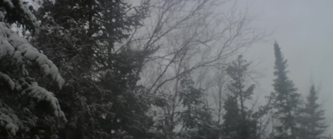 Trees sprinkled with snow blowing in the breeze on a cloudy day