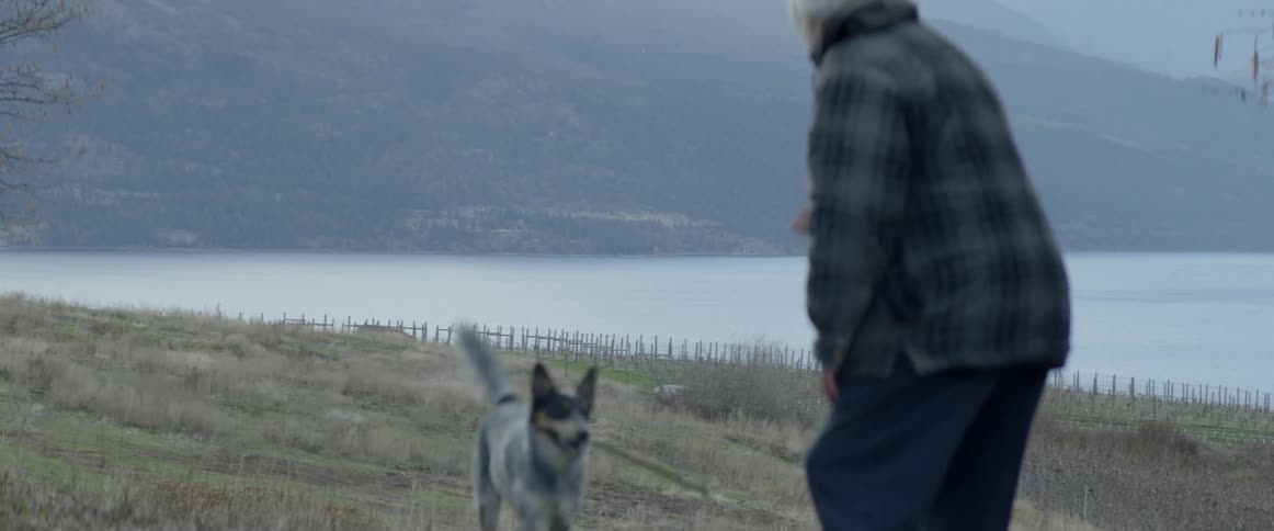 A man plays fetch with a dog near a lake