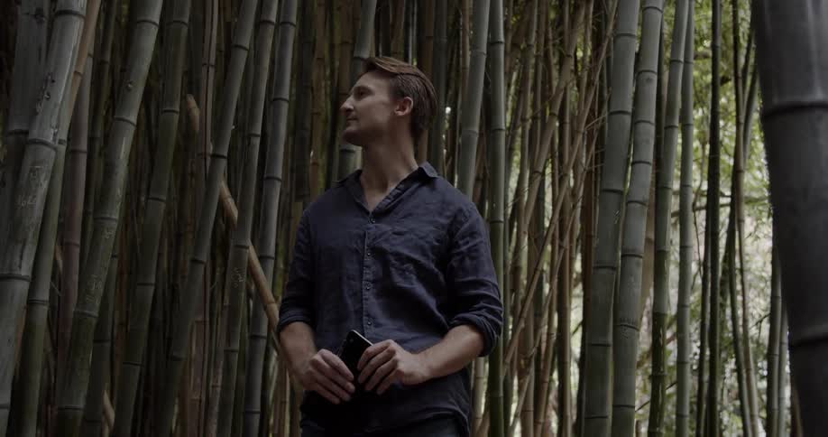 Man stands in a bamboo grove
