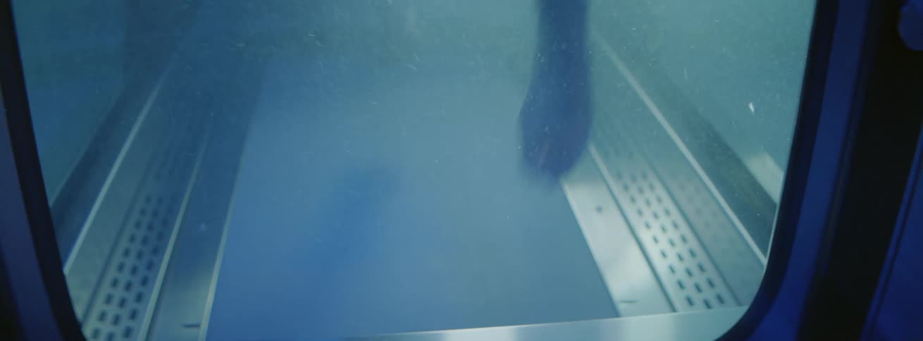 A woman runs on an underwater treadmill
