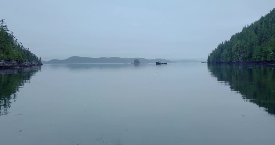 The lake water is calm near the shore