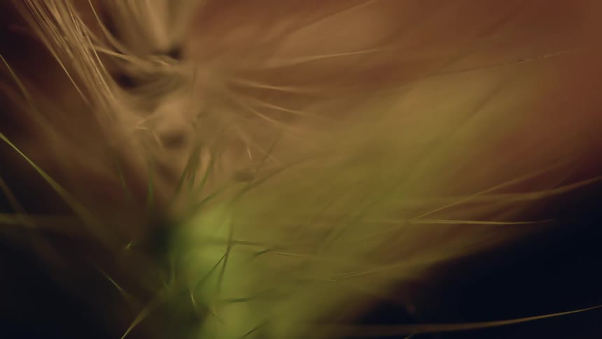 The fishing lure has white threads