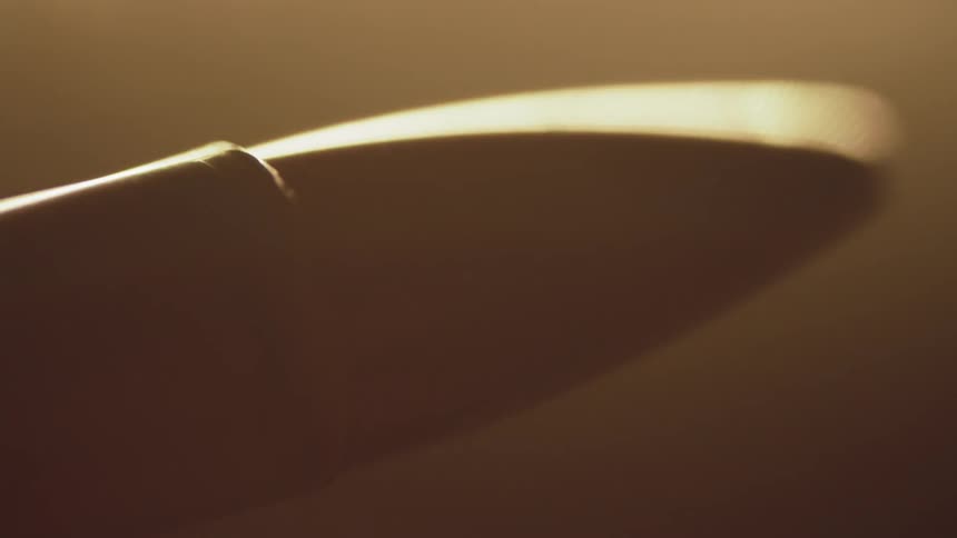 A light shines on a bullet