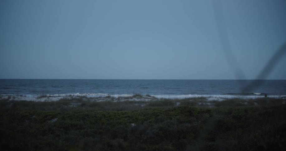 The waves crash against the green shore