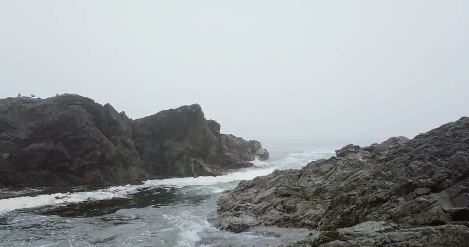The water is crashing around the rocks of the foggy shore