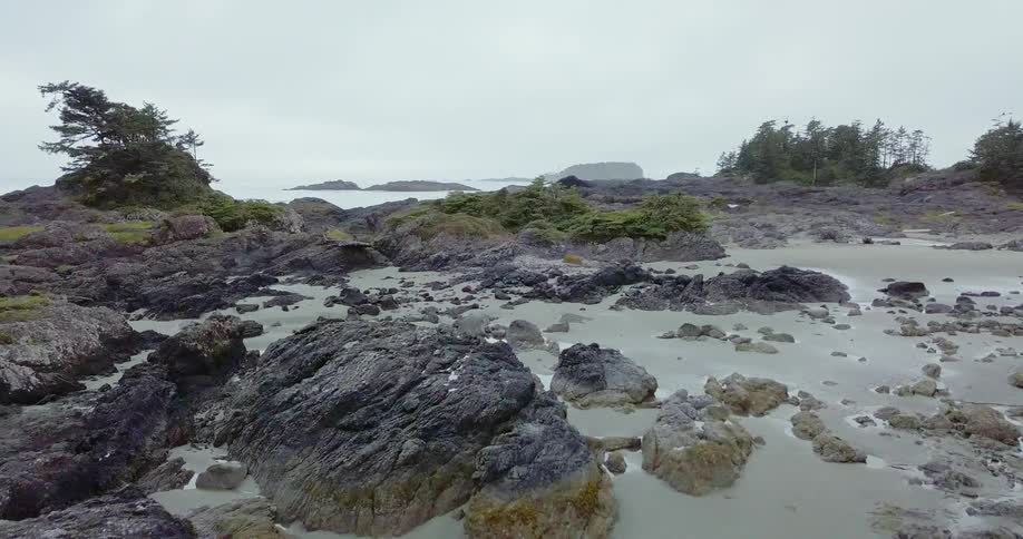 The water is calm near the shore