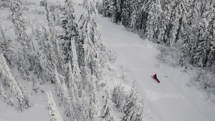 Person riding snowmobile through snow covered mountain forest