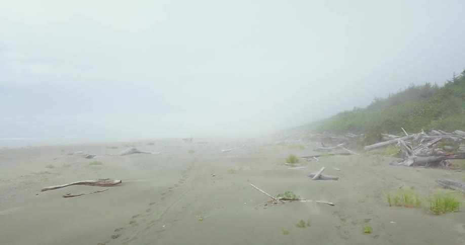 Sandy foggy beach on a cloudy day
