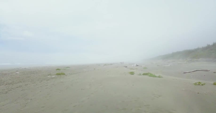 Fog is lingering on a beach during the day
