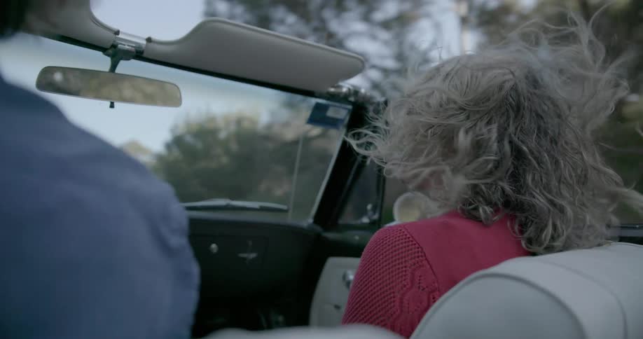 A couple are driving in a convertible along a country road in daylight