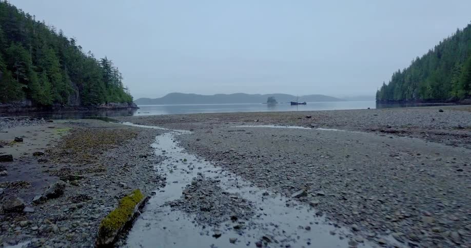Water seeping through rocks near a large body of water