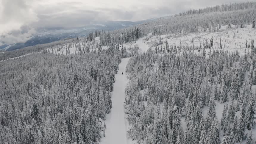 Person snowmobiling on a wide path through a snowy forest on a cloudy day