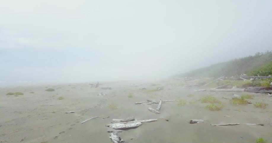 The beach is covered in a thick fog